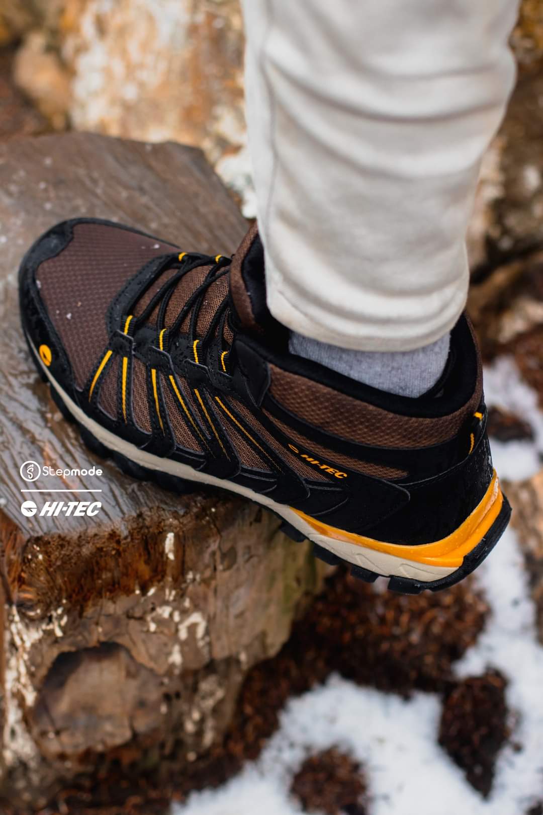 HI TEC O013264 ✅✅