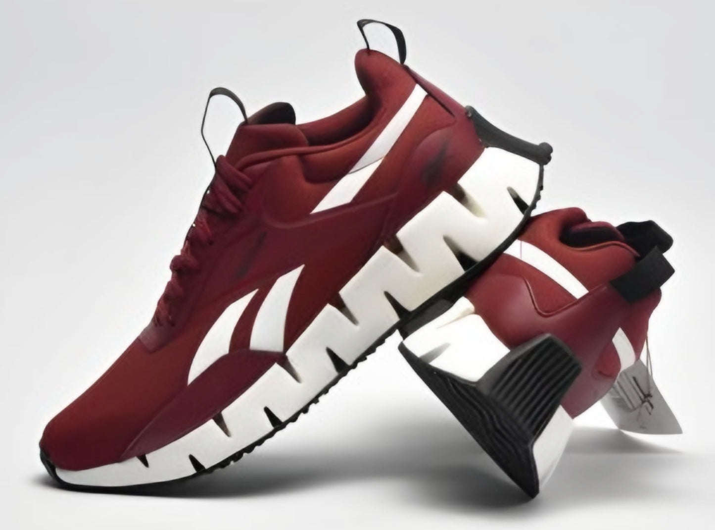 REEBOK ZIG DYNAMICA 100205464