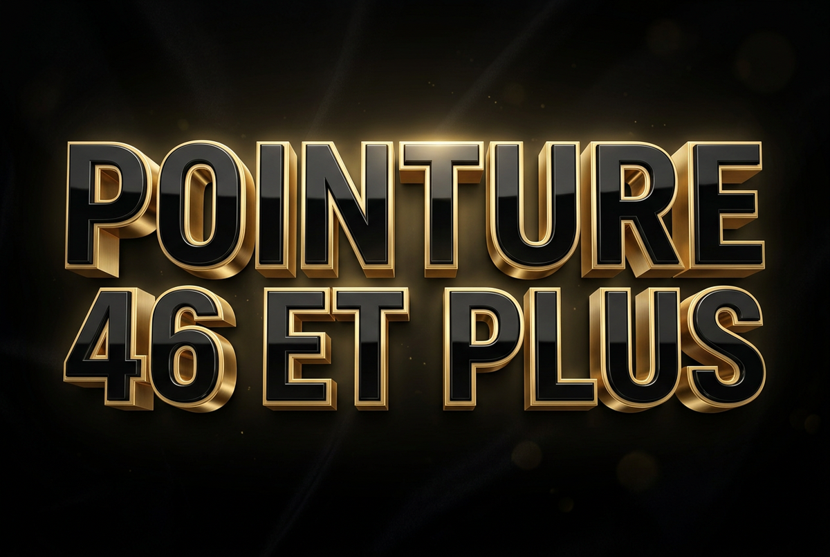 POINTURE 46 JUSQU'À 50