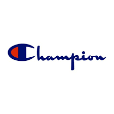 Champion S22382-BS509