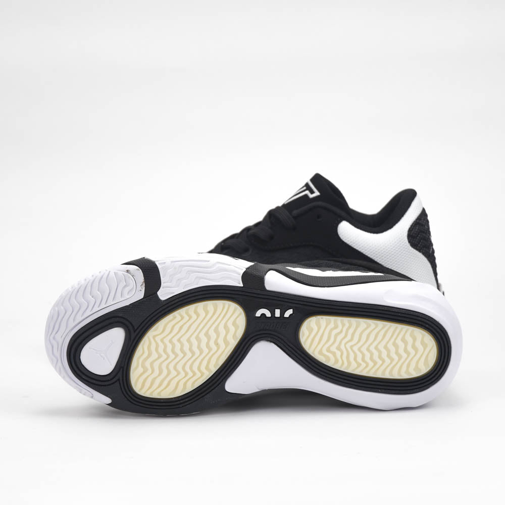 AIR JORDAN BASKET FQ7631-019(AAA) ✅