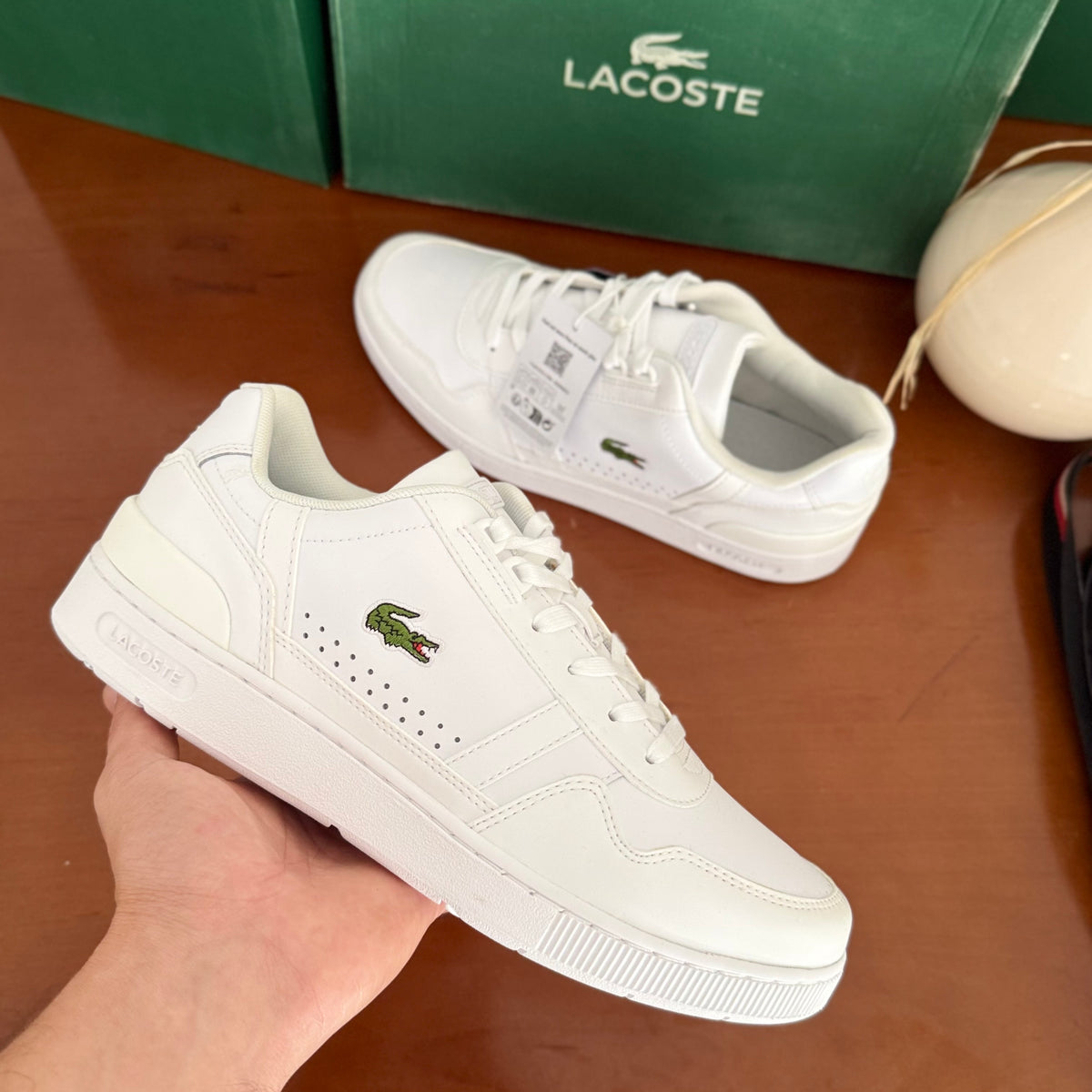 LACOSTE sp 190722 T-clip 💢 💢