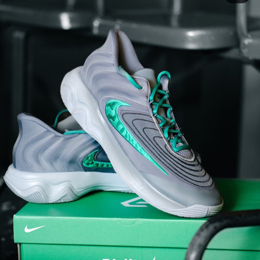 Nike Giannis Immortality 4  FQ3680-800(AAA)  ✅✅